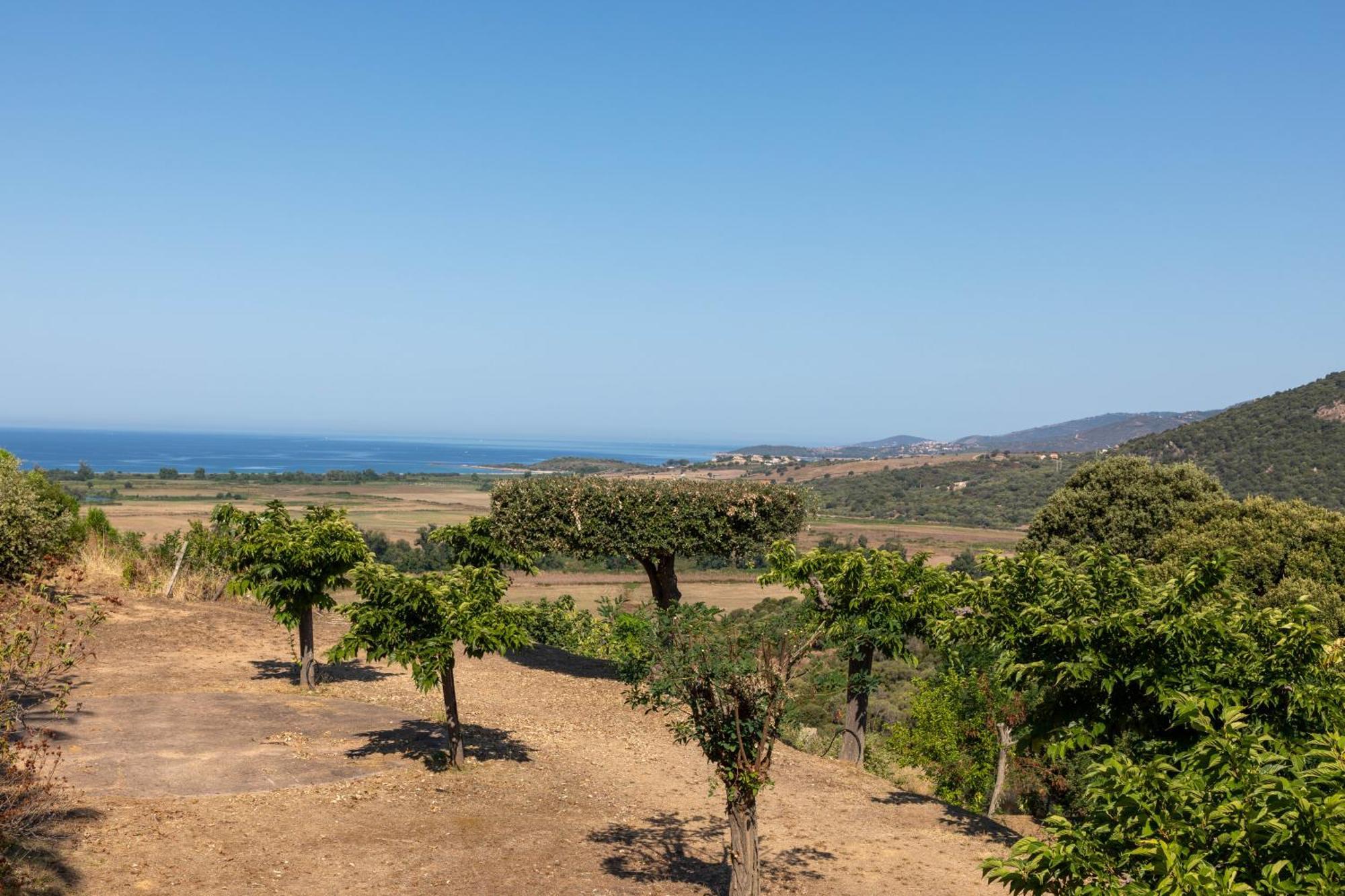 Camping Les Couchants Casaglione Bagian luar foto